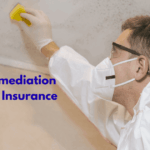 Mold Remediation Business Insurance